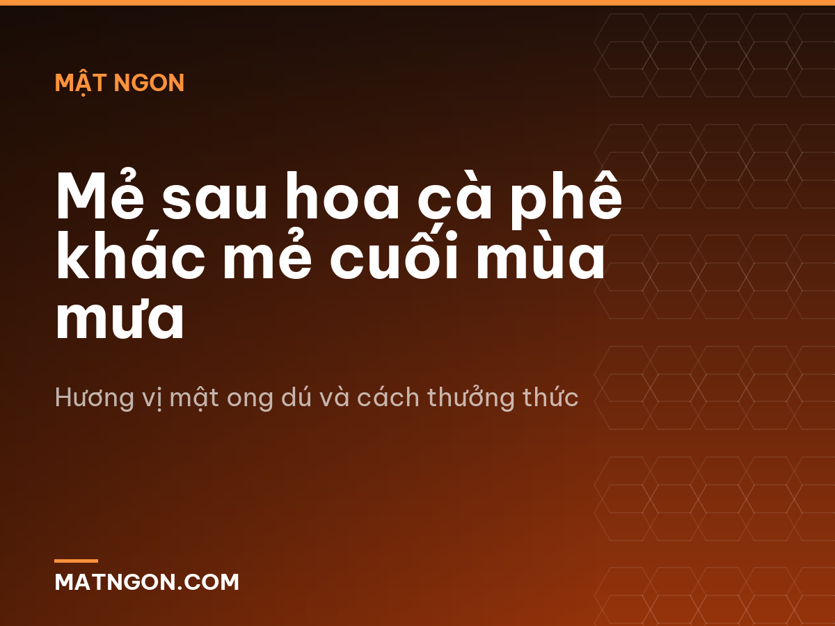 Mẻ sau hoa cà phê khác mẻ cuối mùa mưa