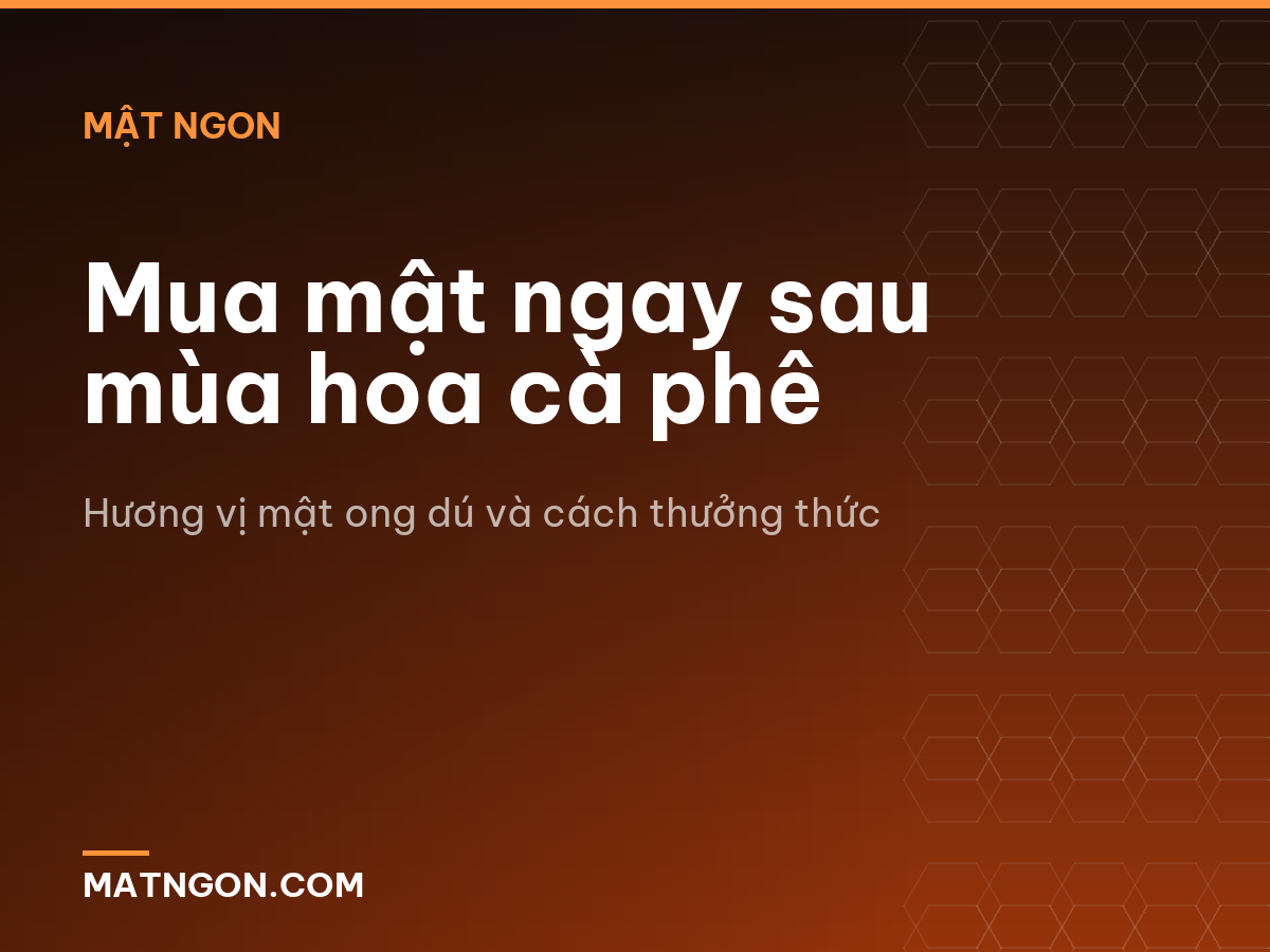 Mua mật ngay sau mùa hoa cà phê