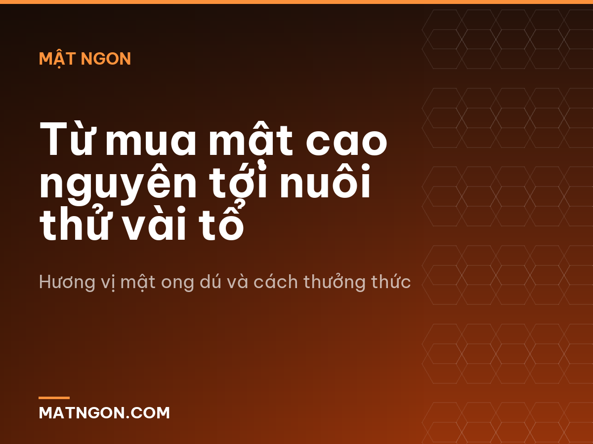 Từ mua mật cao nguyên tới nuôi thử vài tổ